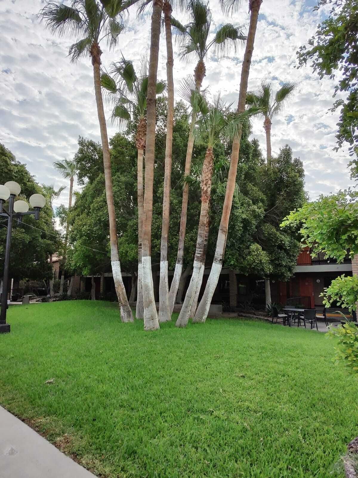 Hotel Colonial Mexicali Luaran gambar